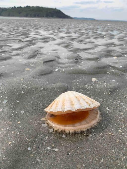 Ravissant Studio En Bord De Mer Plérin Kültér fotó